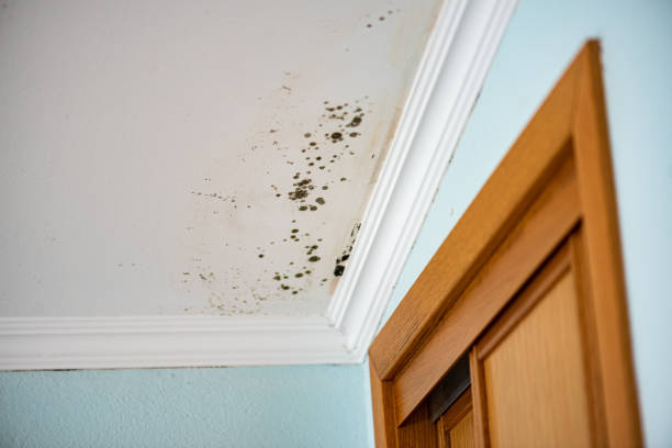 Water Damage Restoration in Chester, VA