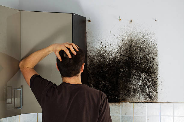 Best Crawl Space Mold Removal  in Chester, VA